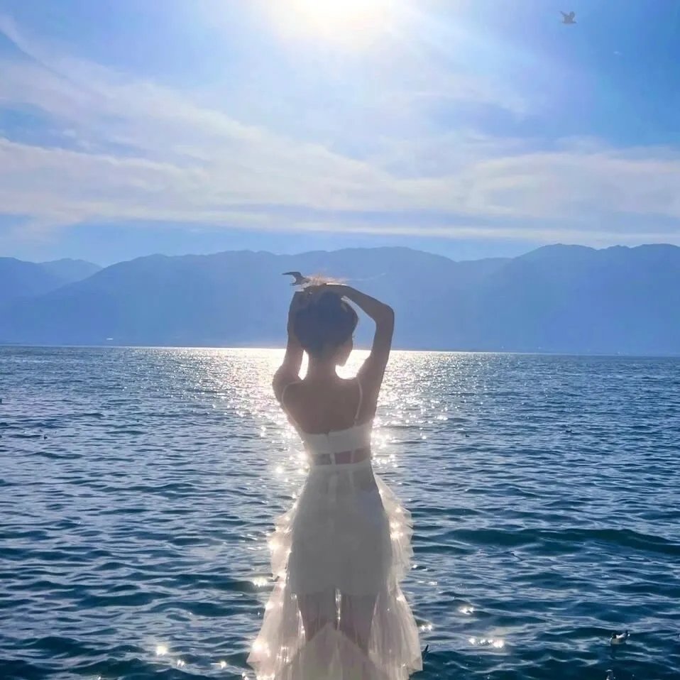 没有窗户的房子 海报